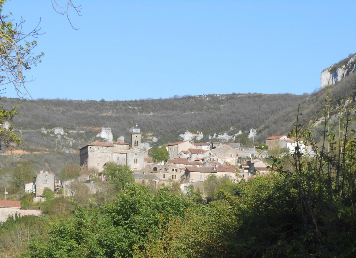 Maison Spacieuse Et Agreable Saint-Georges-de-Luzençon Eksteriør bilde